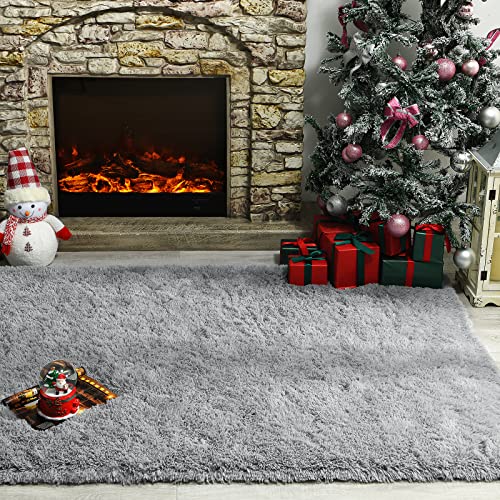 Fluffy Bedroom Rugs, 4 x 6 Feet Indoor Shaggy Plush Area Carpet, Grey